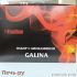 Набор с биокамином Kratki GALINA, биотопливом (1.5л.), зажигалкой фото 8