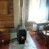 Отопительная печь ТМФ Профессор Бутаков Студент с чугунной дверцей и стеклом фото 2
